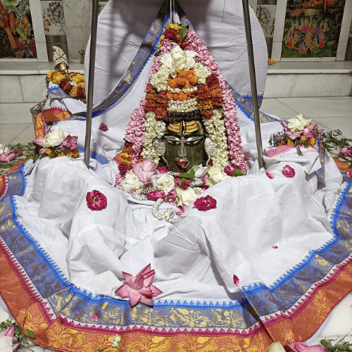Kaal Sarp dosh Nivaran Puja